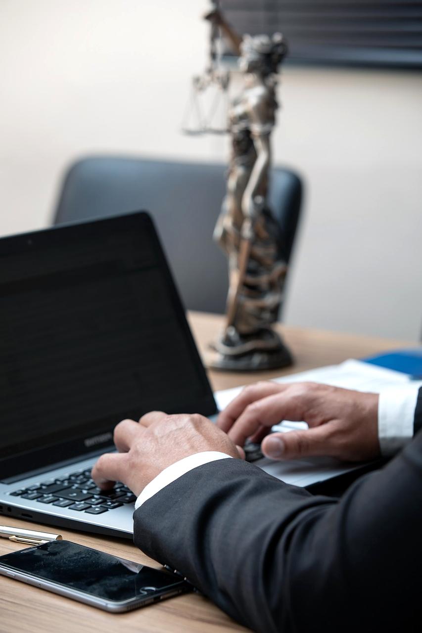 Reprezentacja sądowa w sprawach granicznych